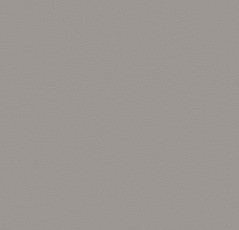 Линолеум Forbo Sarlon Colour 15dB 862T4315 stone grey uni фото 1 | FLOORDEALER